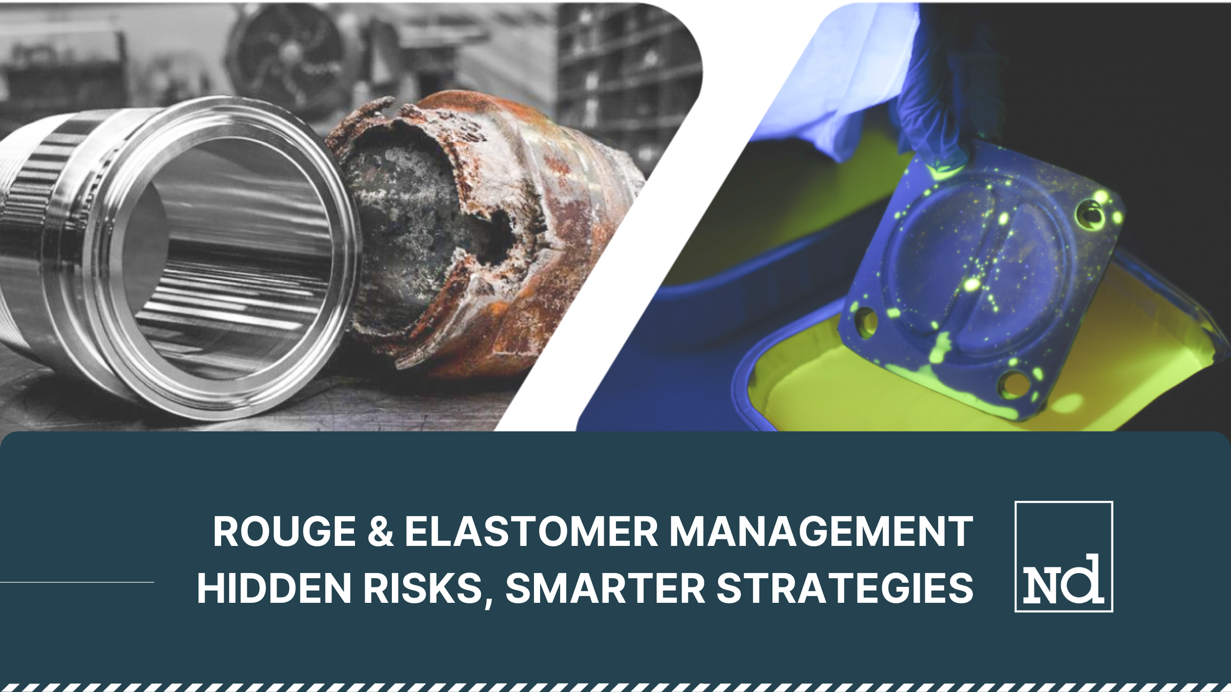 Rouge and Elastomer Management in Biopharma: Hidden Risks, Smarter Strategies